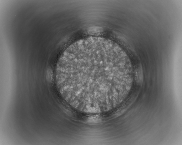 X0000111480705200908041122