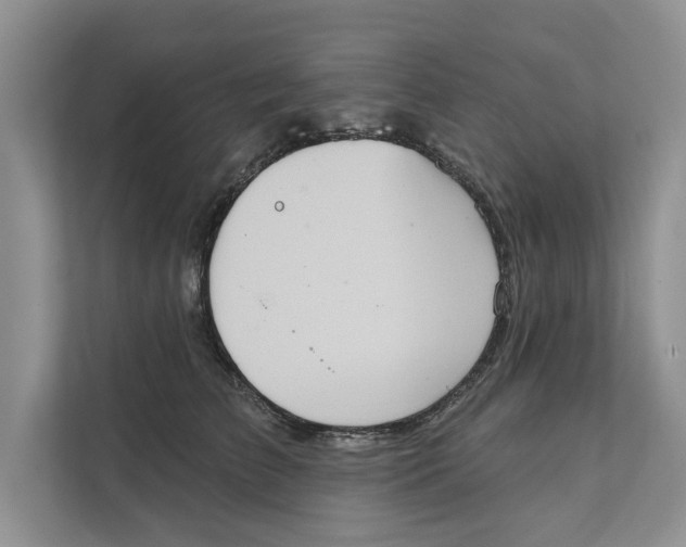 X0000111480709200908041122