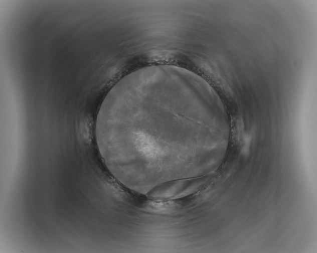 X0000111480712200908041122