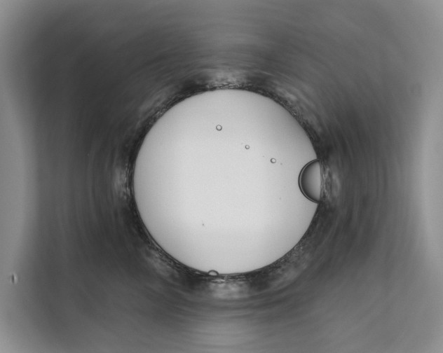 X0000111480714200908041122