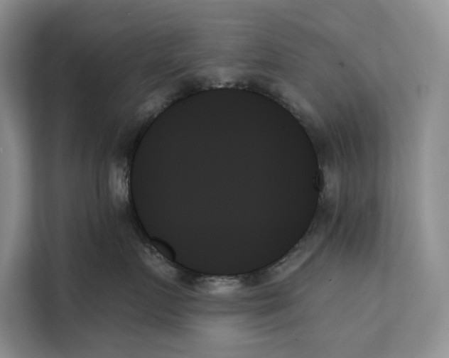 X0000111480719200908041122