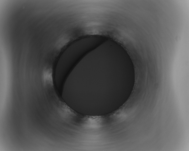 X0000111480720200908041122