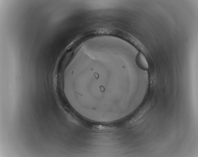 X0000111480722200908041121