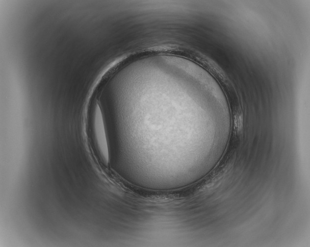 X0000111480724200908041121