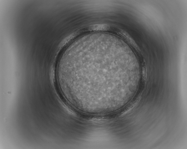 X0000111480725200908041121