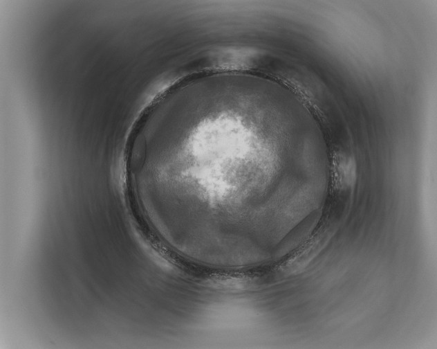 X0000111480726200908041121