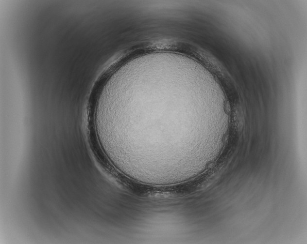 X0000111480730200908041121