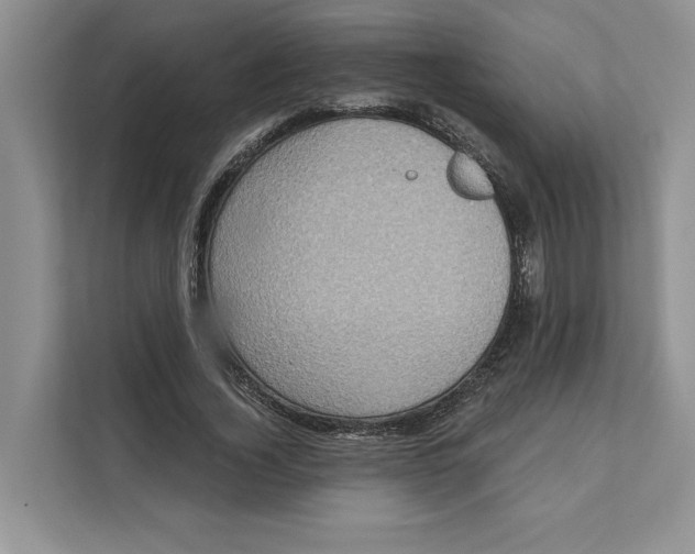 X0000111480732200908041121