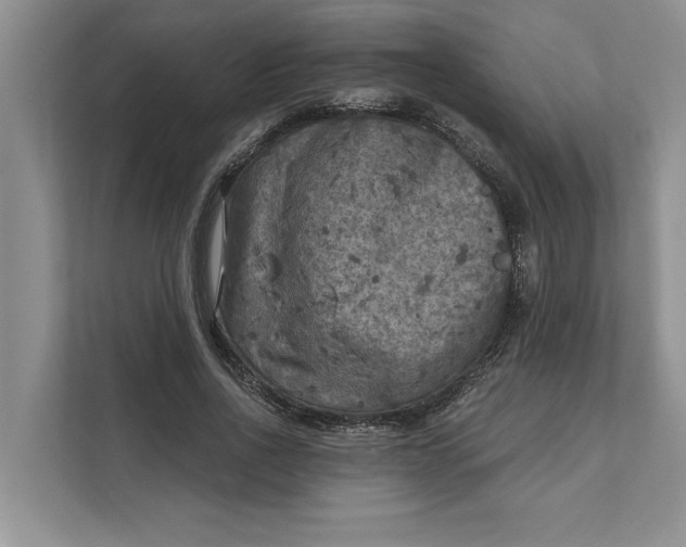 X0000111480734200908041121
