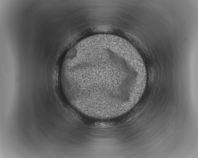 X0000111480739200908041122