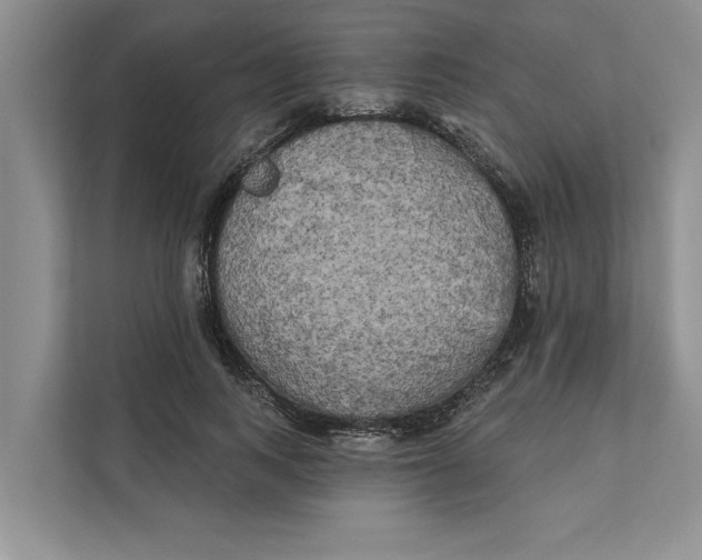 X0000111480743200908041122