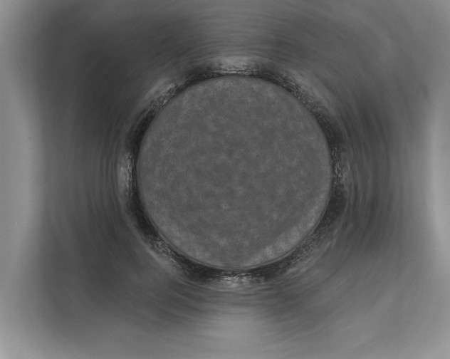 X0000111480744200908041122