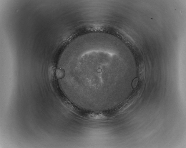 X0000111480747200908041122