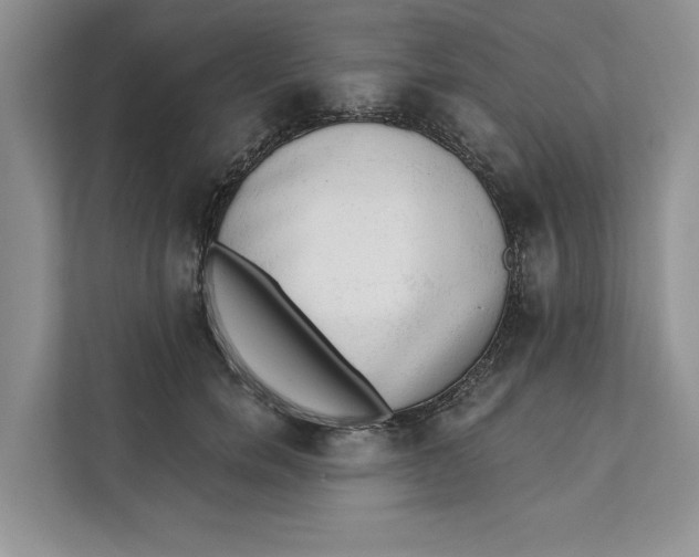 X0000111480750200908041122