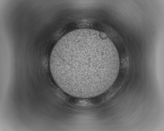 X0000111480753200908041122