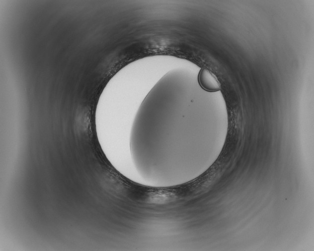 X0000111480754200908041122
