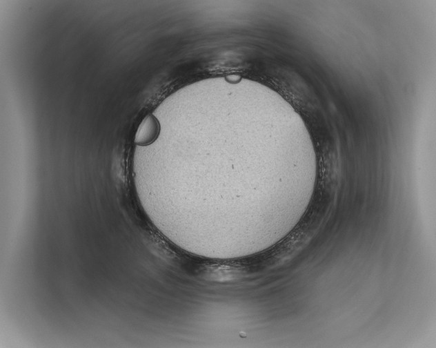 X0000111480755200908041122