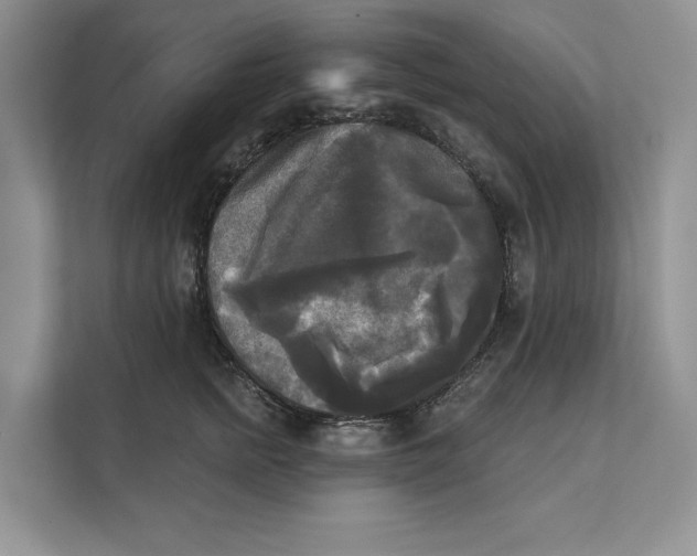 X0000111480758200908041122