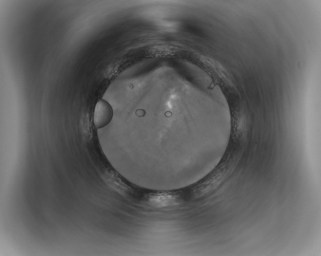 X0000111480759200908041122
