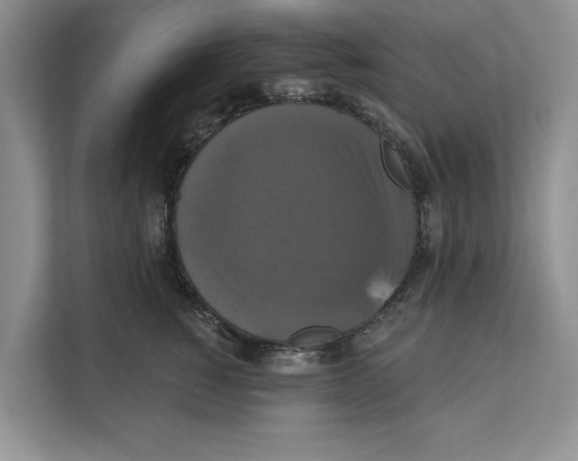 X0000111480760200908041122