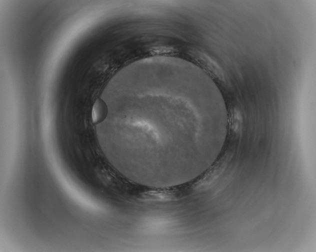 X0000111480763200908041122