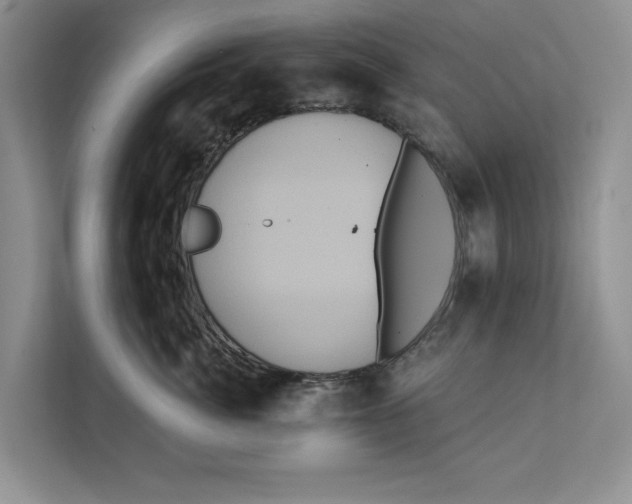X0000111480764200908041122