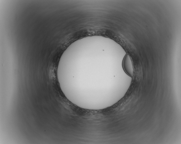 X0000111480770200908041121