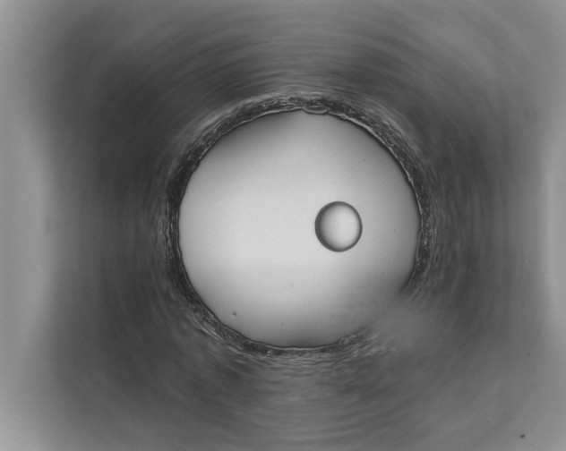 X0000111480773200908041121