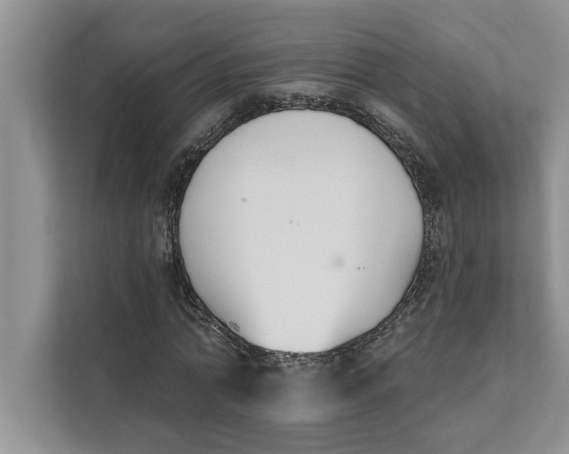 X0000111480774200908041121