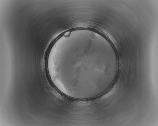 X0000111480779200908041121