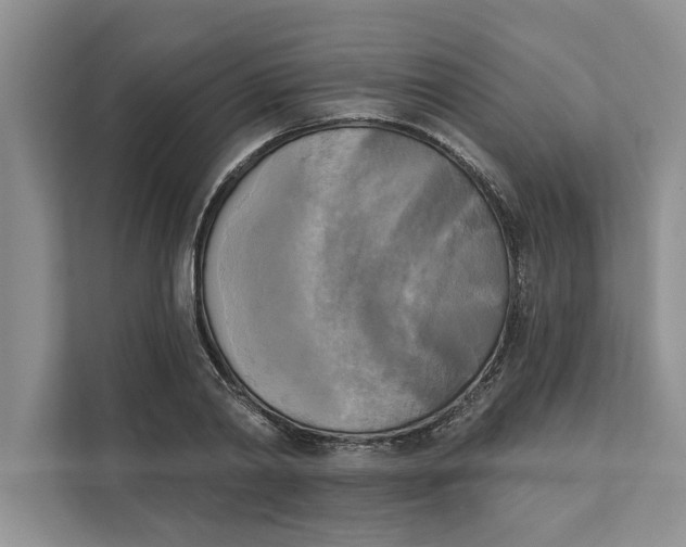X0000111480790200908041121