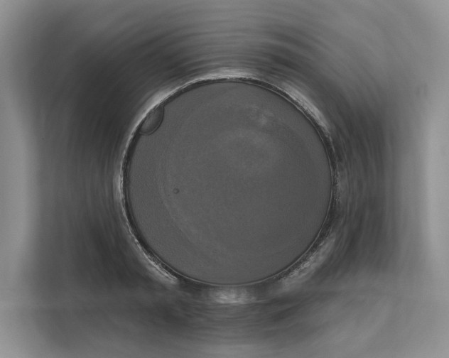 X0000111480797200908041121