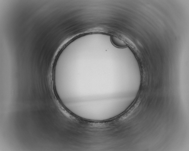 X0000111480800200908041121