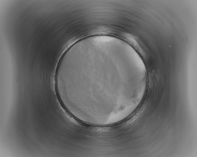 X0000111480802200908041121