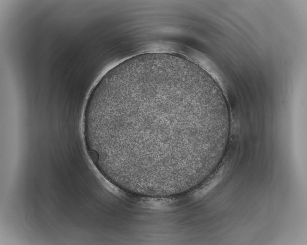 X0000111480803200908041121