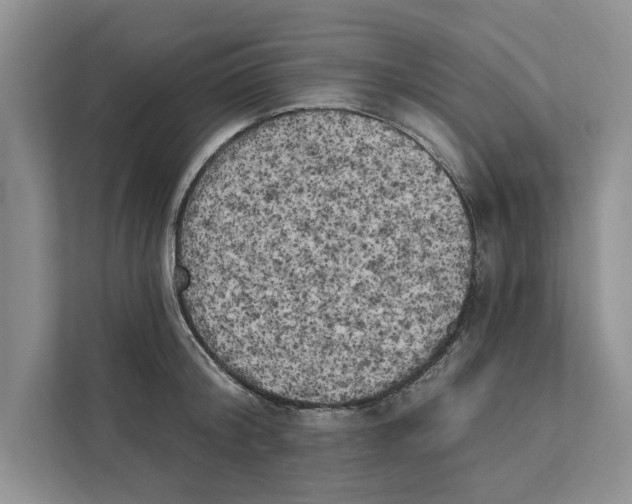X0000111480804200908041121