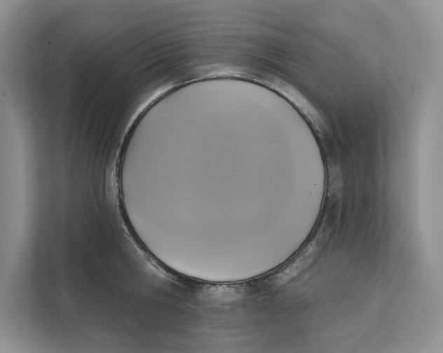 X0000111480806200908041121
