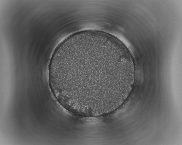 X0000111480807200908041121