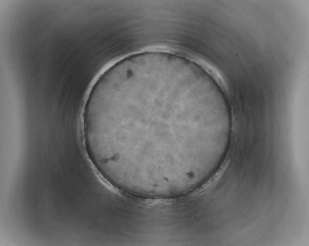 X0000111480808200908041121