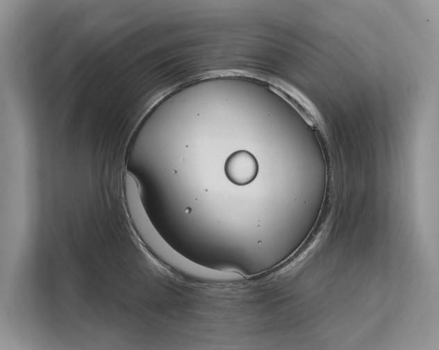 X0000111480809200908041121