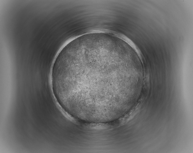 X0000111480811200908041121