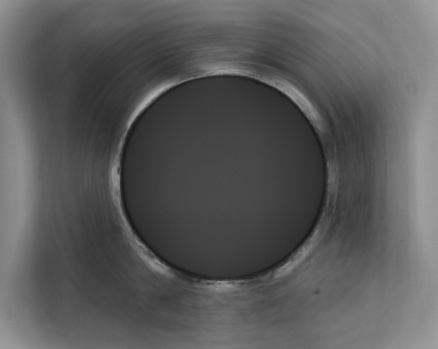 X0000111480814200908041121