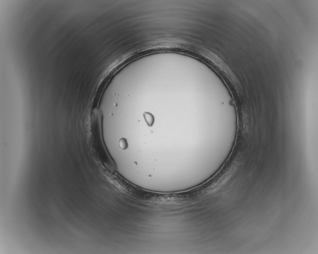 X0000111480834200908041120