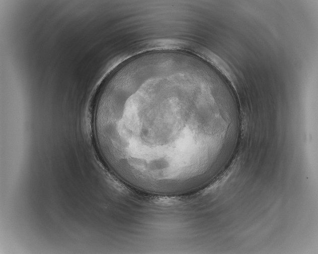 X0000111480835200908041120
