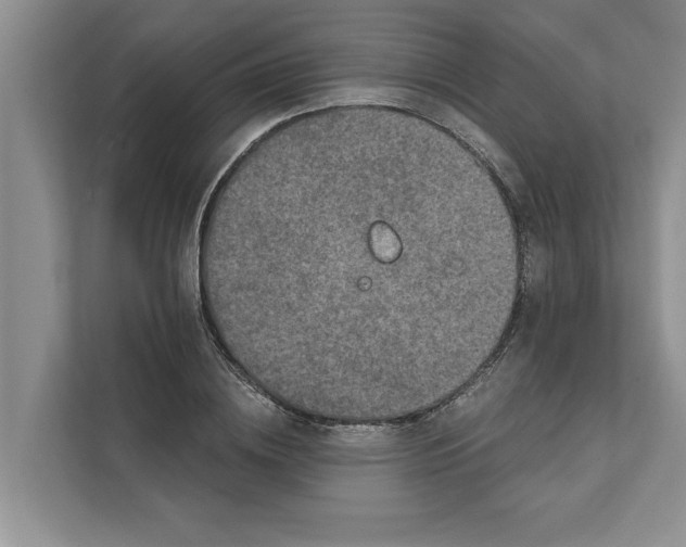 X0000111480836200908041120
