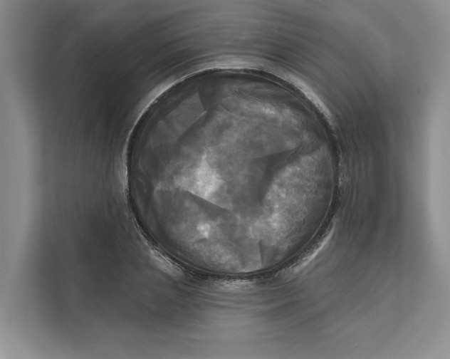 X0000111480837200908041120