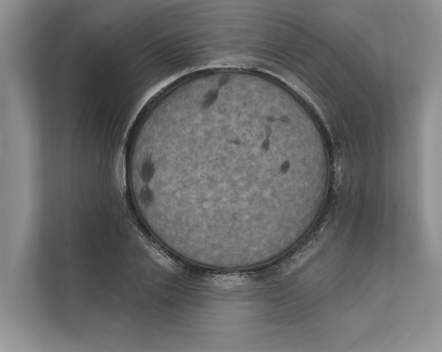 X0000111480838200908041120