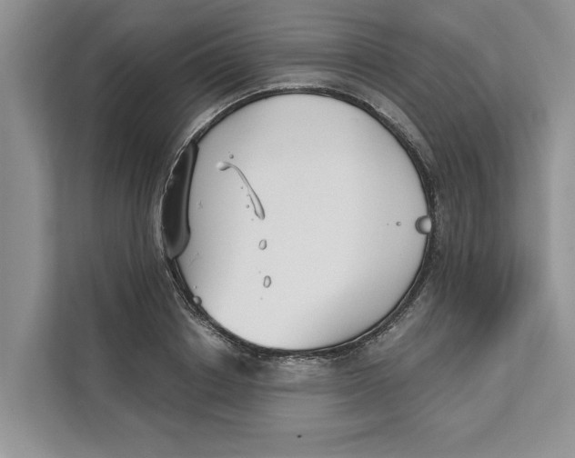 X0000111480842200908041120