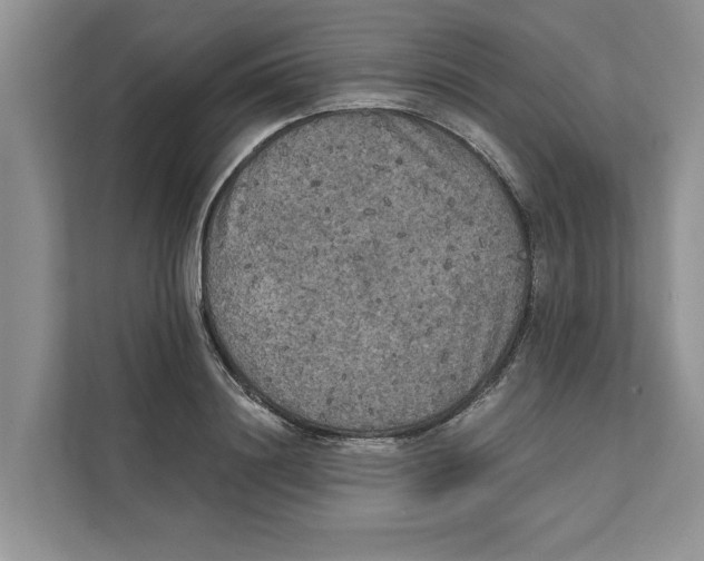 X0000111480844200908041120