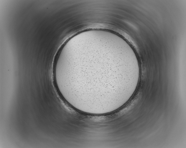 X0000111480845200908041120